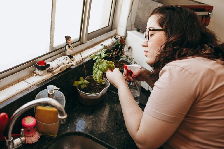 How to Refresh Your Home with Plants: Easy Tips for a Greener Space